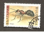 Stamps Bulgaria -  INTERCAMBIO