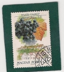 Stamps Hungary -  Uvas