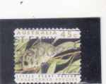 Sellos de Oceania - Australia -  roedor