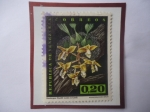 Stamps Venezuela -  Orquídea - Stanhopea Wardil Lodd. ex Lindi- Sello de 0,20 Bs del año 1962