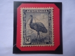 Stamps Australia -  EMU (Dromaius novaehollandiae)- King George V, 4a Serie 1941-44 - Sello de 5,1/2 penique.