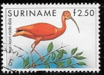 Sellos de America - Surinam -  aves