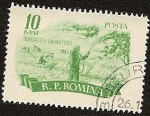 Stamps Romania -  Agricultura - lucha contra las plagas