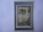 Stamps Argentina -  Turismo- Cataratas del Icuazú (En el Río Iguazú)-Sello de 5 m$n Peso Nacional Argentino,año 1955