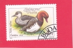 Stamps Hungary -  PATOS