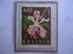 Stamps Bolivia -  Orquídea - Vanda Tricolor Var. Suavis- Sello de 400 Boliviano del año 1962