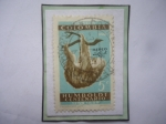 Stamps Colombia -  Unau-Perezoso-Centenario de la Muerte de Humboldt (1859-1959)-Sobreinpreso:Aereo y Avión