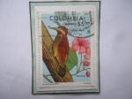 Stamps Colombia -  Pajaro Carpintero de Manto Carmesí-Mariania