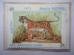 Stamps : Asia : Nepal :  Tigre de Bengala- Panthera tigris - Sello de 2 Paisa Nepalí