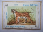 Sellos del Mundo : Asia : Nepal : Tigre de Bengala- Panthera tigris - Sello de 2 Paisa Nepalí