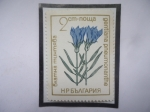 Stamps Bulgaria -  Genciana (Gentianaceae)- Planta medicinal y aromatizante, de Europa
