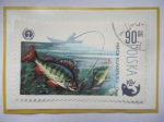 Stamps Poland -  Perca Europea, de río (Perca Fluviatilis - Percidae)-Protección del Medio Ambiente y Peces. 