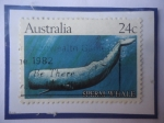 Stamps Australia -  Sperm  whale (Physeter macrocephalus)-Cachalote- Serie Ballenas.