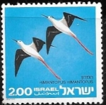 Sellos de Asia - Israel -  aves
