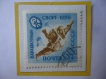 Stamps Russia -  URSS-Paracaidismo-Sociedad Voluntaria en apoyo del Ejercito-Fuerza Aérea y Flota.
