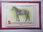 Stamps Bulgaria -  Tarpan (Equus ferus ferus)- Sello de 5 Stotinka Búlgaro, año 1980
