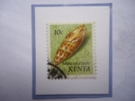 Stamps Kenya -  Kenia-Mitra episcopalis- Mulluscs del mar- Sello de 10 Céntimos keniano, año 1971.