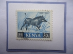 Stamps Kenya -  Kenia- Warthog- Jabalí del Desierto (Phacochoerus aethiopicus)-Fauan Africana Sello de 30 Cénts.Keni