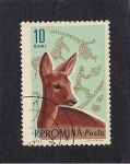 Sellos de Europa - Rumania -  Animales