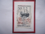 Stamps : Africa : Niger :  Avestruz (Strutio Camelus)- Protección de la Fauna 1959-1962- Sello de 50F-Franco África Occidental 