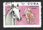Stamps Cuba -  1711 - Caballos de Pura Sangre