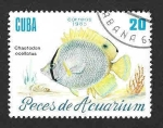 Stamps Cuba -  2815 - Peces de Aquarium