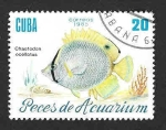 Sellos de America - Cuba -  2815 - Peces de Aquarium
