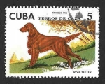 Stamps Cuba -  2038 - Perro de Caza