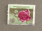 Stamps America - El Salvador -  Rosa