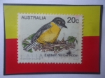 Stamps Australia -  Eastern Yellow Robin (Eopsaltria Australis)