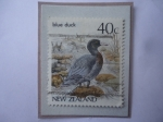 Sellos de Oceania - Nueva Zelanda -  Blue Duck (Hymenolaimus malacorhynechos)