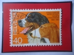 Stamps : Europe : Switzerland :  Sabueso de Schwyz- Perro de Montaña Bernes- Sabueso de Schwz