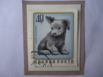 Stamps Hungary -  Canis Familiaris - Cachorrito.