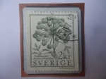 Stamps : Europe : Sweden :  Fjällkvanne - Angelica Archangelika-Sello de 2 Kr-Corona Sueca.