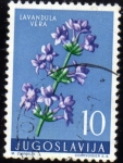 Stamps Yugoslavia -  PLantas : lavanda