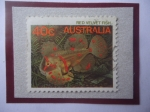 Stamps Australia -  Red Velvet Fish-Pez Terciopelo Rojo (Gnathanacanthus Goetzeei- Vida Marina