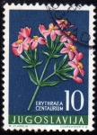 Stamps Yugoslavia -  PLantas :