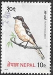 Sellos de Asia - Nepal -  aves
