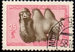 Stamps Mongolia -  Animales: Dromedario-1958