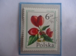 Stamps Poland -  Roza Dzika - Rosa Canina L. - Flores y Frutos- Sello de 6 Zl Polaco.