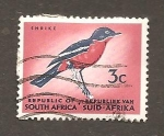 Stamps South Africa -  INTERCAMBIO