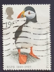 Stamps United Kingdom -  Pajaros