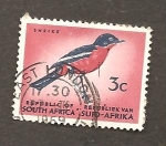 Stamps South Africa -  INTERCAMBIO