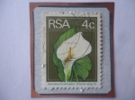 Stamps South Africa -  R.S.A. - Calla Lily (Zantedeschia ethiopica) - Lirio de Calla
