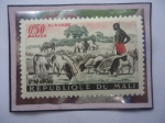 Sellos del Mundo : Africa : Mali : Pastoreo- Oveja y Ganado - Sello de 0,50 CDA-Franco África Occidental , año 1961