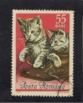Sellos de Europa - Rumania -  Gatos