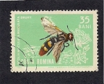Stamps Romania -  Insectos