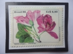 Stamps Brazil -  Bauhinia Variegata L. - Unha-de-vaca