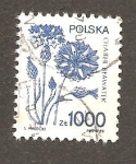 Stamps Poland -  INTERCAMBIO