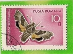 Stamps Romania -  Mariposa